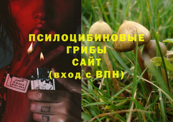 мяу мяу мука Ханты-Мансийск