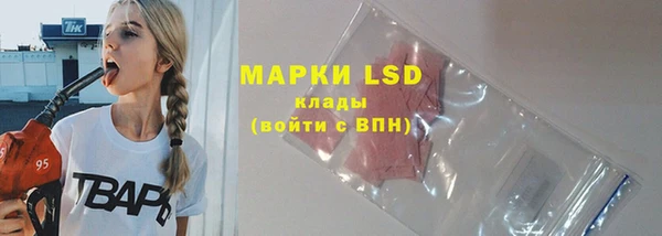 индика Хадыженск
