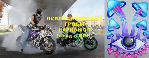 индика Хадыженск